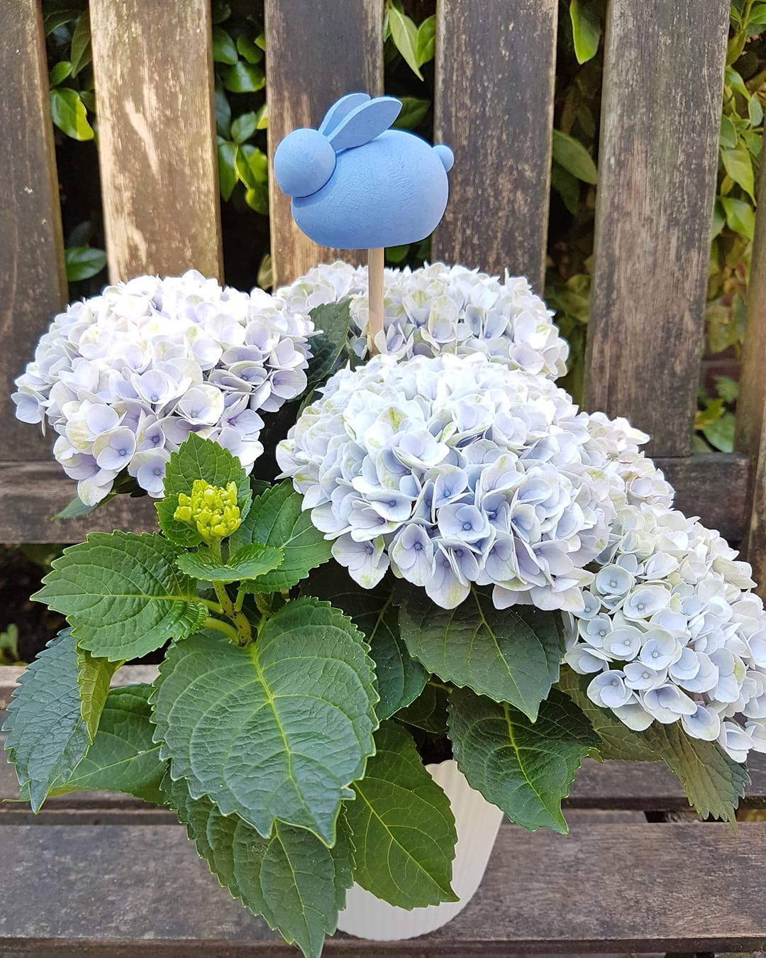 Daar knapt zo'n plantje van op zeg! 🐰
#nietvoeren #woodenanimals #larssonstra #larssonsträ