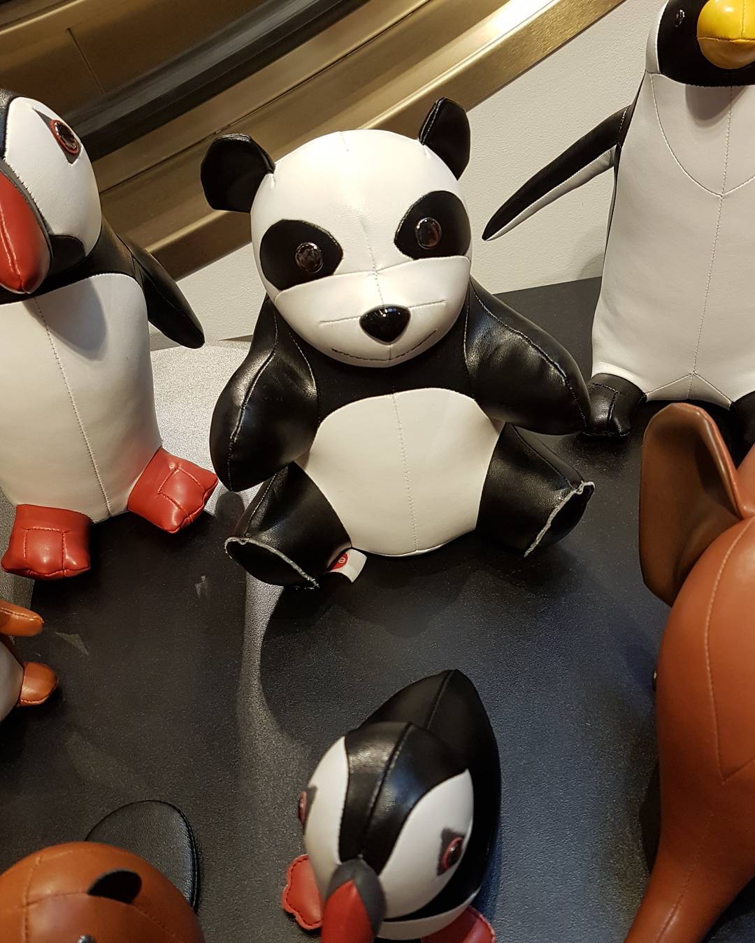 Pretty sure I heard him whispering: Brenda... take me home with you... 🐼
#nietvoerenopvakantie #illumsbolighus #wonderfulcopenhagen #giantpanda #reuzenpanda