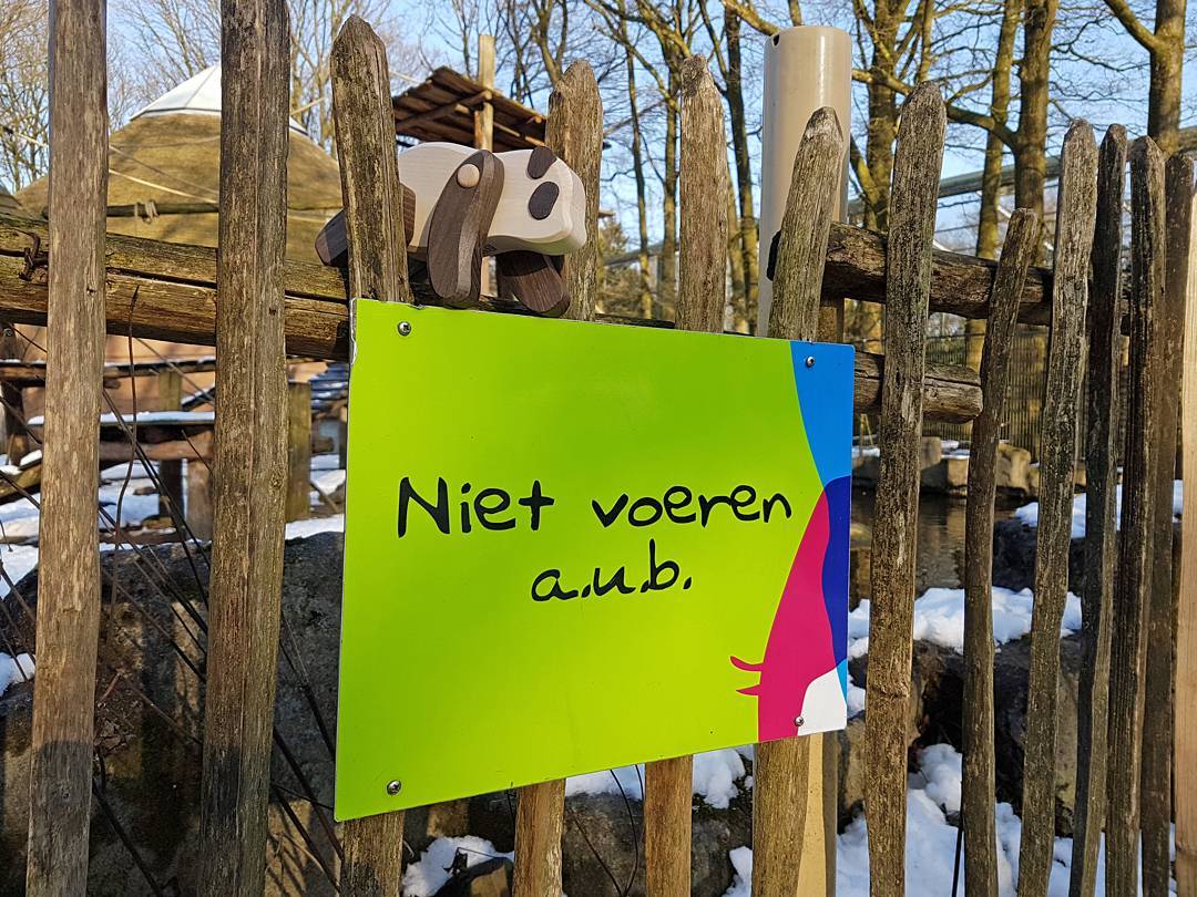 Met ruim 30°C op de thermometer breng ik vandaag een beetje sneeuw! Deze foto maakte ik op 13 februari in @Ouwehandszoo. Precies twee maanden voordat bamboebeertjes Wu Wen en Xing Ya hun intrek namen in Pandasia. Find the panda! 🐼
#nietvoeren #dontfeedtheanimals #findthepanda #pandaroadtrip #sneeuwpret  #ouwehandsdierenpark #pandasia #giantpanda #panda #pandamania #wooddecor #wooddesign