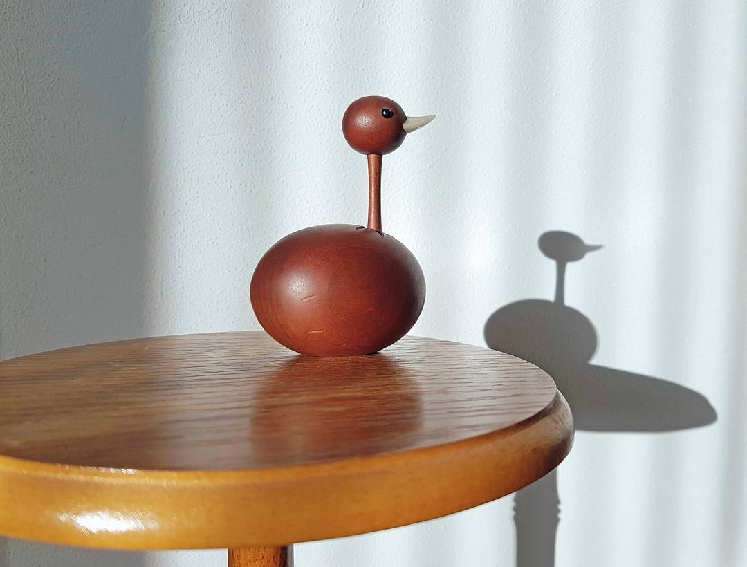 Het actuele weerbeeld in Twente: laaghangende zon! 😎
#nietvoeren #shadowselfie #shadow #schaduw #struisvogel #ostrich #bigbird #babybird #birdphotography #japanesevintage #kawaii  #wooddecoration #wooddesign #homedecor #magischtafereeltje