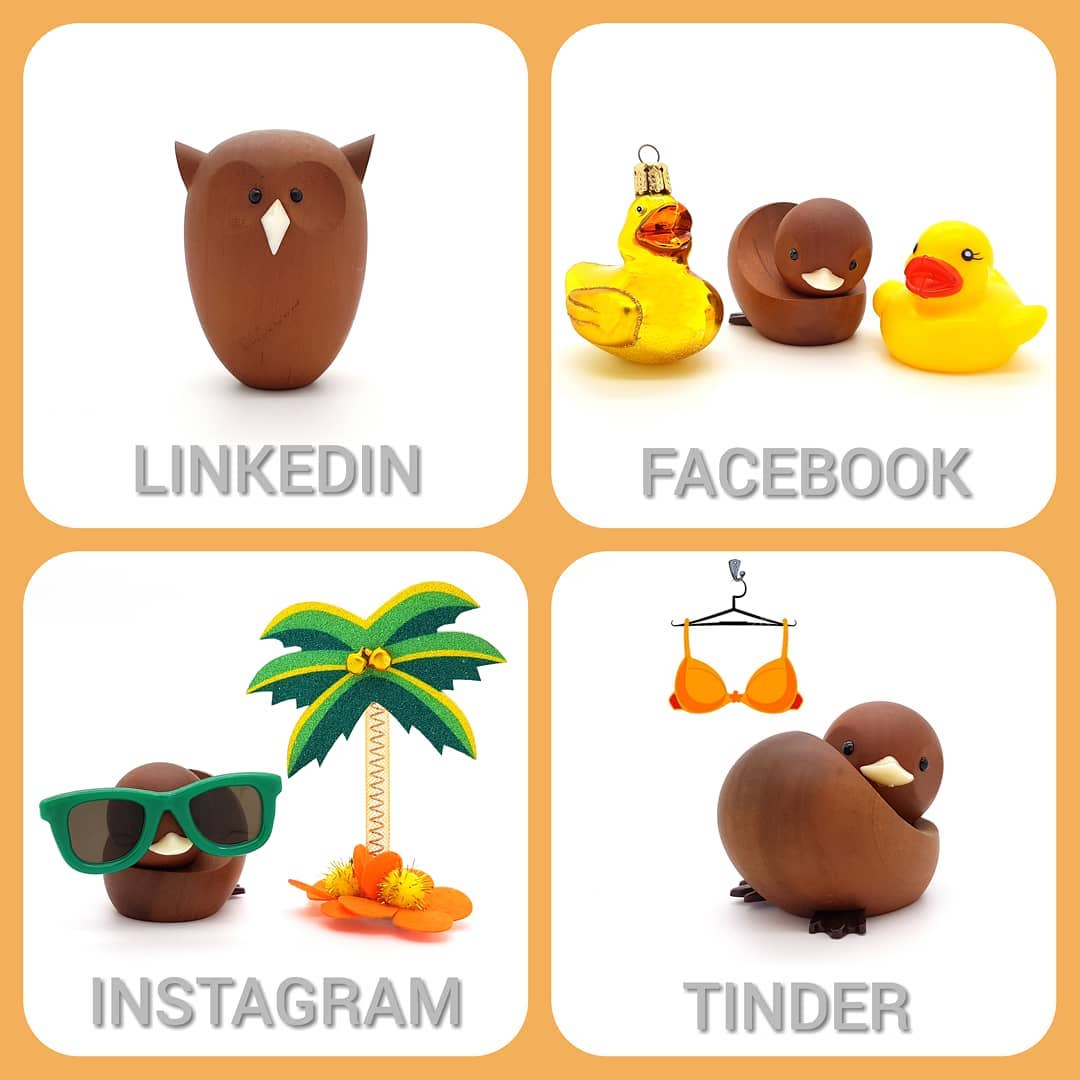 Challenge accepted! 🦆
#dollypartonchallenge #dollypartonmemechallenge #challenge #linkedin #facebook #instagram #tinder #owl #duck #ducks #duckling #duckface #birds #poultry #birdsofinsta #happybirdday #vogeltelling #pluimvee