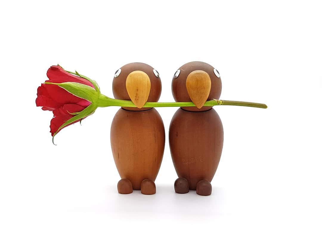 For all you lovebirds out there... happy Valentine's day! 💘
#valentinesday #valentijnsdag #vday #bemyvalentine #14februari #14february #dagvandeliefde #romance #love #iloveyou #frank #lovebirds #birdphotography #papegaai #parrot #parrotlove #redroses #woodlove #woodlovers #kawaii #nietvoeren