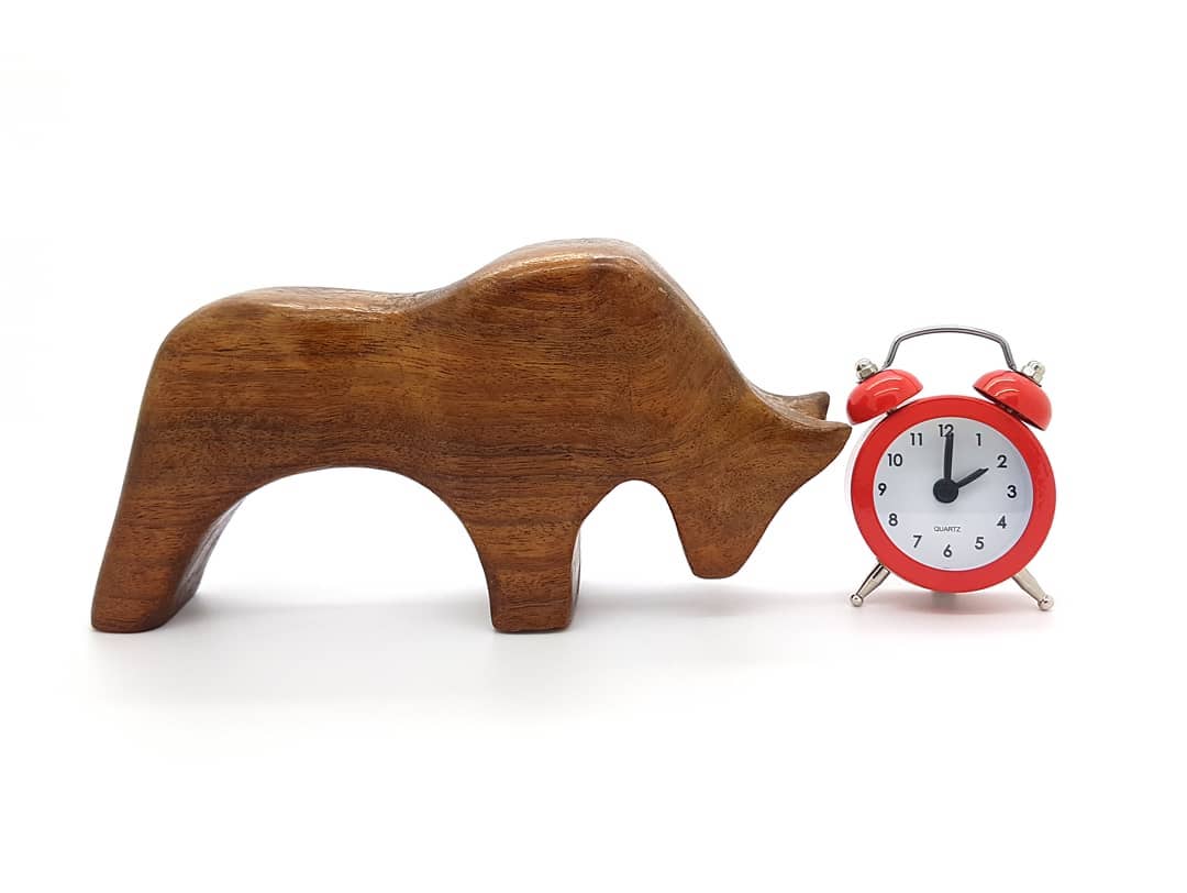 Almost time to move the clock ahead! ⏰
#daylightsavingtime #dst #daylighttime #zomertijd #sommerzeit #summertime #herecomesthesun #spring #lente #lenteintwente #earthhour #bull #stier #woodlove