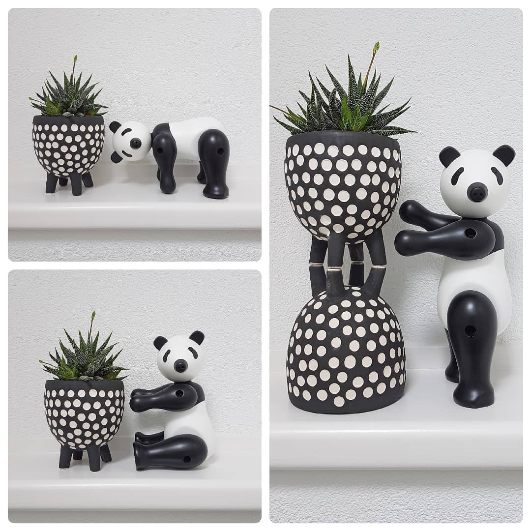 When it has four legs and a black and white color scheme... I love it! 

De witgestipte, vierpotige bloempotjes shopte ik in de gezellige webwinkel van @mevrouw.de.beer. Ook andere patroontjes beschikbaar! 

#wannahave #bloempot #flowerpot #planter #container #vetplant #succulents #kaybojesen #panda #giantpanda #danishdesign #pandalover #pandapower #blackandwhite #monochrome #maosun #xinger #sassandbelle